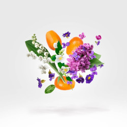 Dama Bianca Edp 100 ml