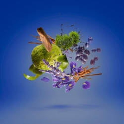 Mefisto Gentiluomo Edp 100 ml